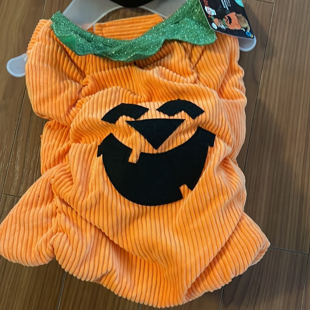 Pumpkin Patch Halloween Costume for dogs - Picture 4 of 9